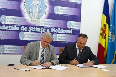 Collaboration Agreement